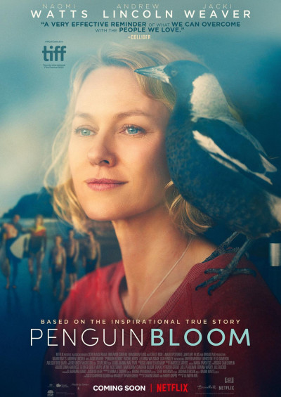 Filmplakat Penguin Bloom (OV)