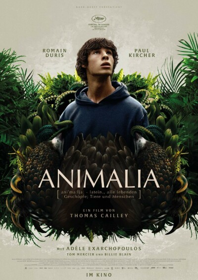 Szene aus Animalia
