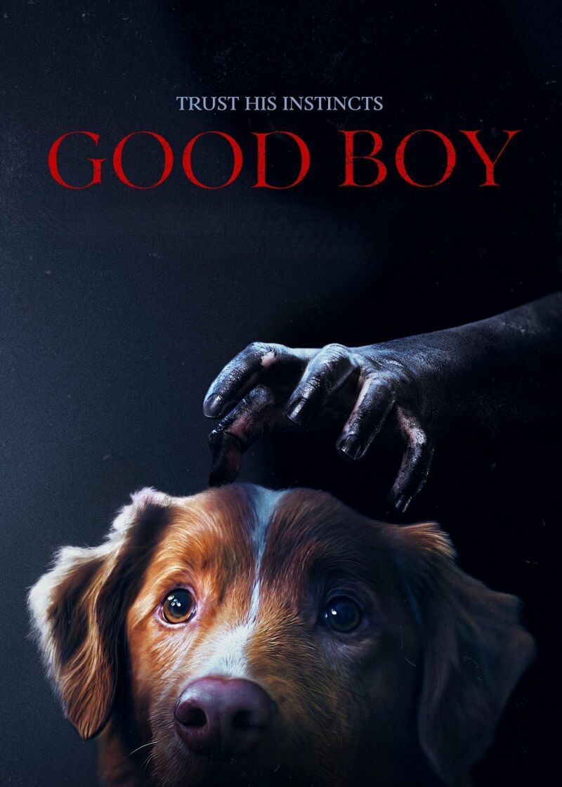 Szene aus Good Boy Trust his instincts
