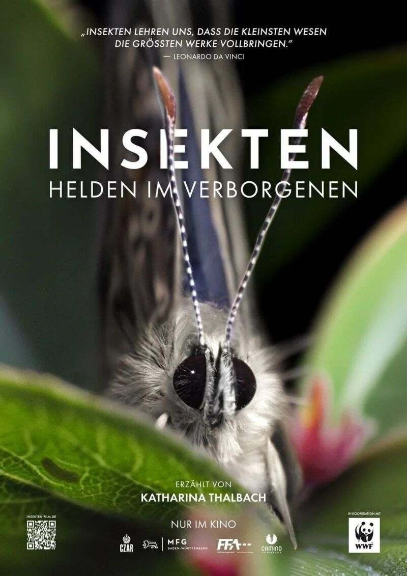 Szene aus Insekten - Helden im Verborgenen