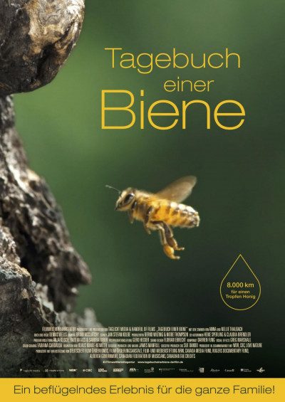 Szene aus Tagebuch einer Biene