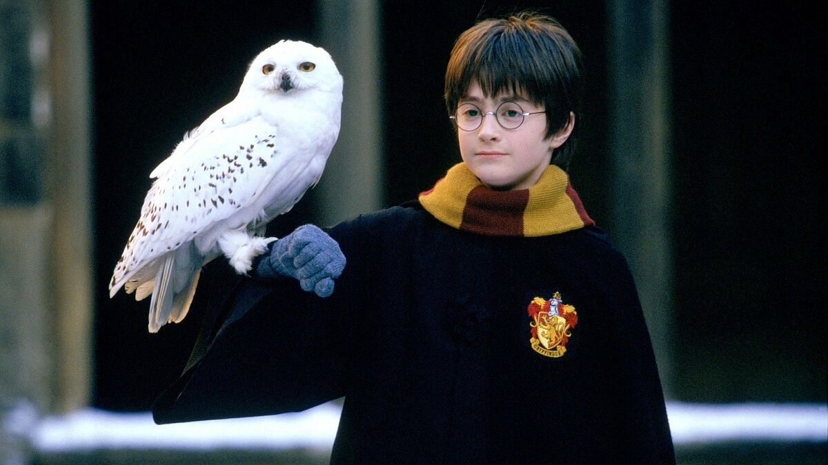Szene aus Harry Potter und der Stein der Weisen - 25 Jahre